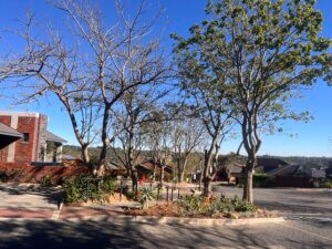 1-Bedroom Garden Apartment in Celebration Retirement Estate