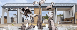 Elegant 1-Bedroom Retirement Living in the Heart of Birdhaven